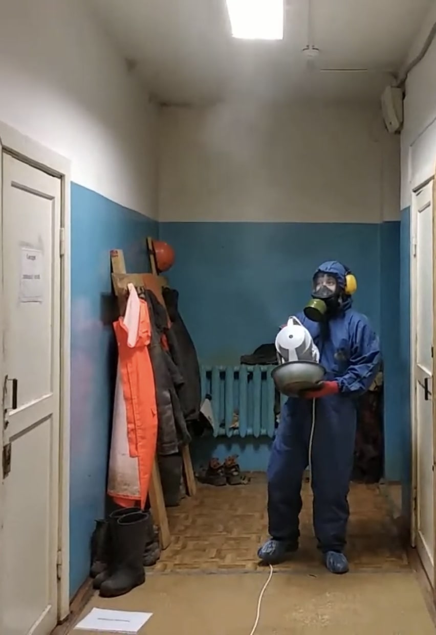 Вредно ли наличие мышей в доме?