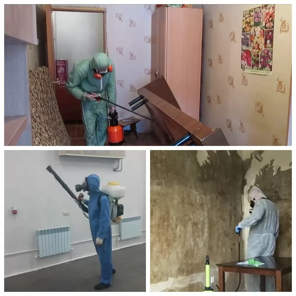 Выгревание и вымораживание квартиры от насекомых